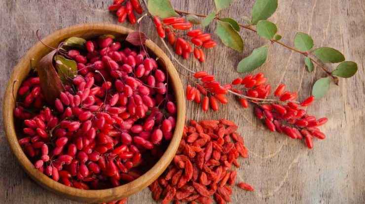 زرشک دانه اناری اعلا با کیفیت ممتاز و مرغوب